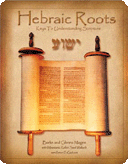 This picture book provides a glimpse into the ancient Hebraic roots of Christianity.